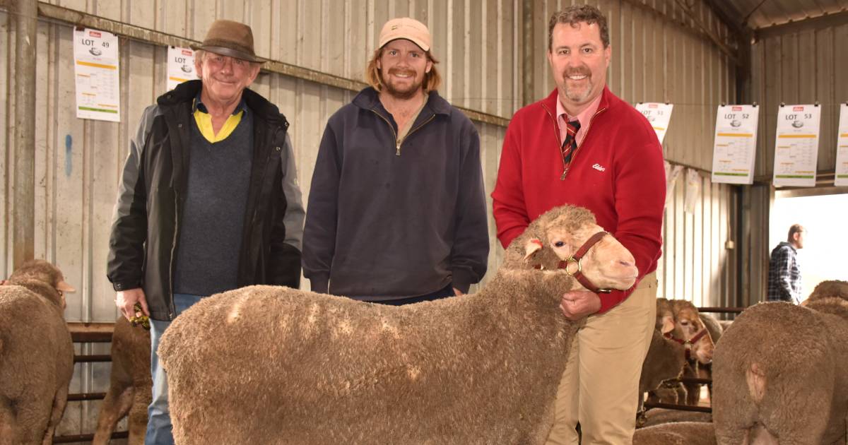 Far Valley Dohne sale peaks at $6100 | Farm Weekly