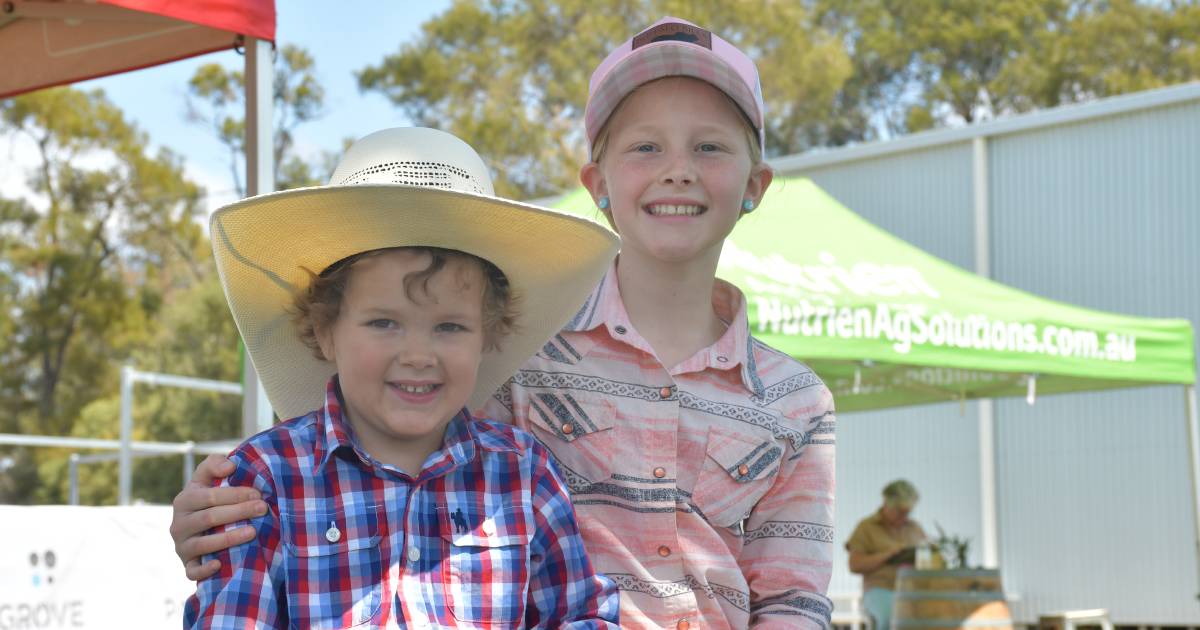 Crowd supports Palgrove's first bull sale held at Chinchilla