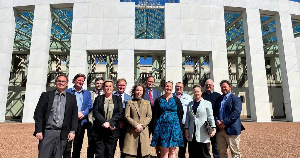 WA delegation discusses live sheep trade ban in Canberra | North Queensland Register