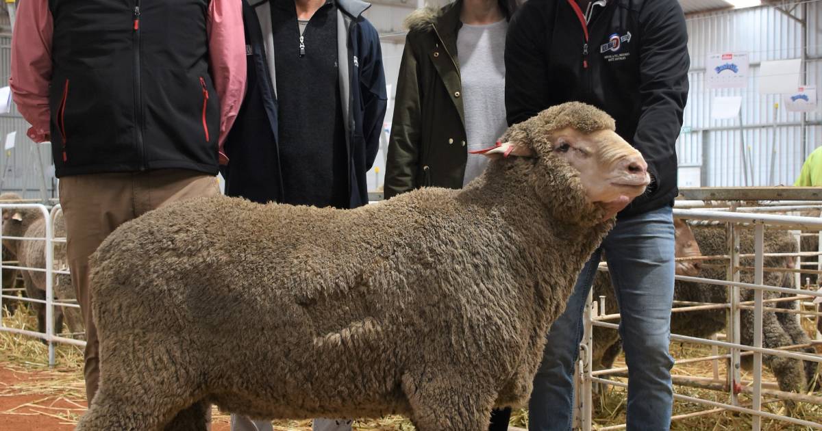 Eastville genetics rewarded with $2500 high