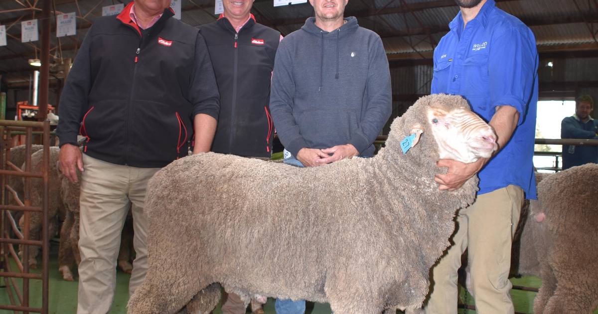 Wililoo ram sale draws both new and return clients. | Farm Weekly