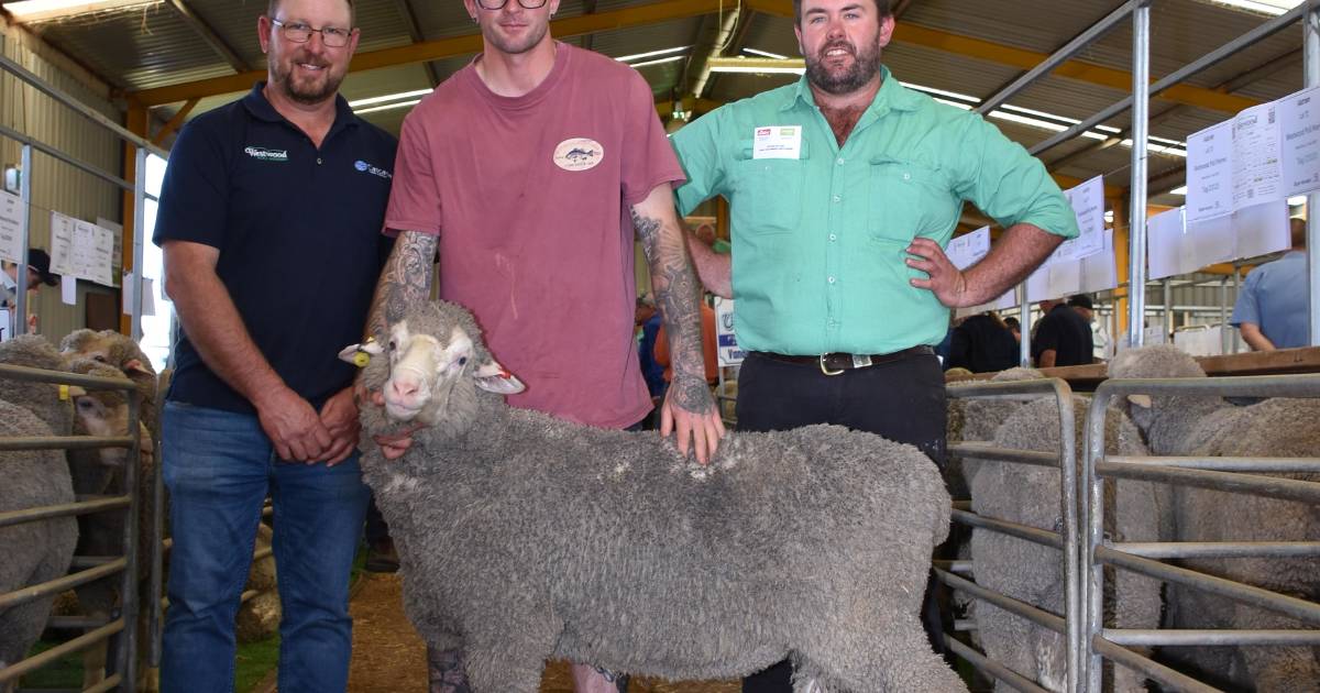 Buyers still have ram season confidence