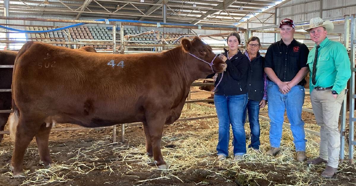 Power of Red sets new Australian female auction record