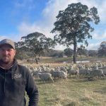 Wool quality and growth were front of mind at Bella Lana sale