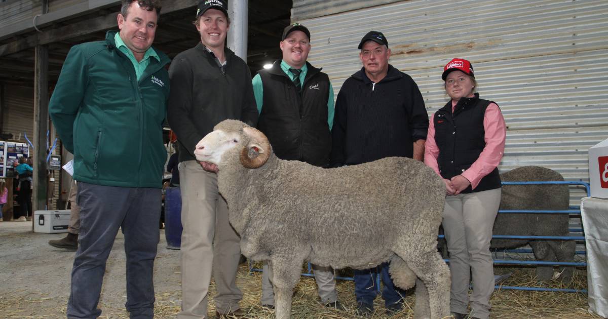 Kamballie sale at North Tammin delivered good results | Farm Weekly