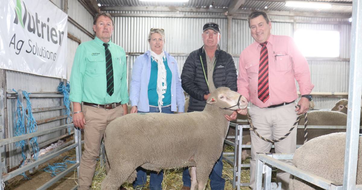 Tiarri Prime SAMM, Lake Grace, sale averages $1436 | Farm Weekly