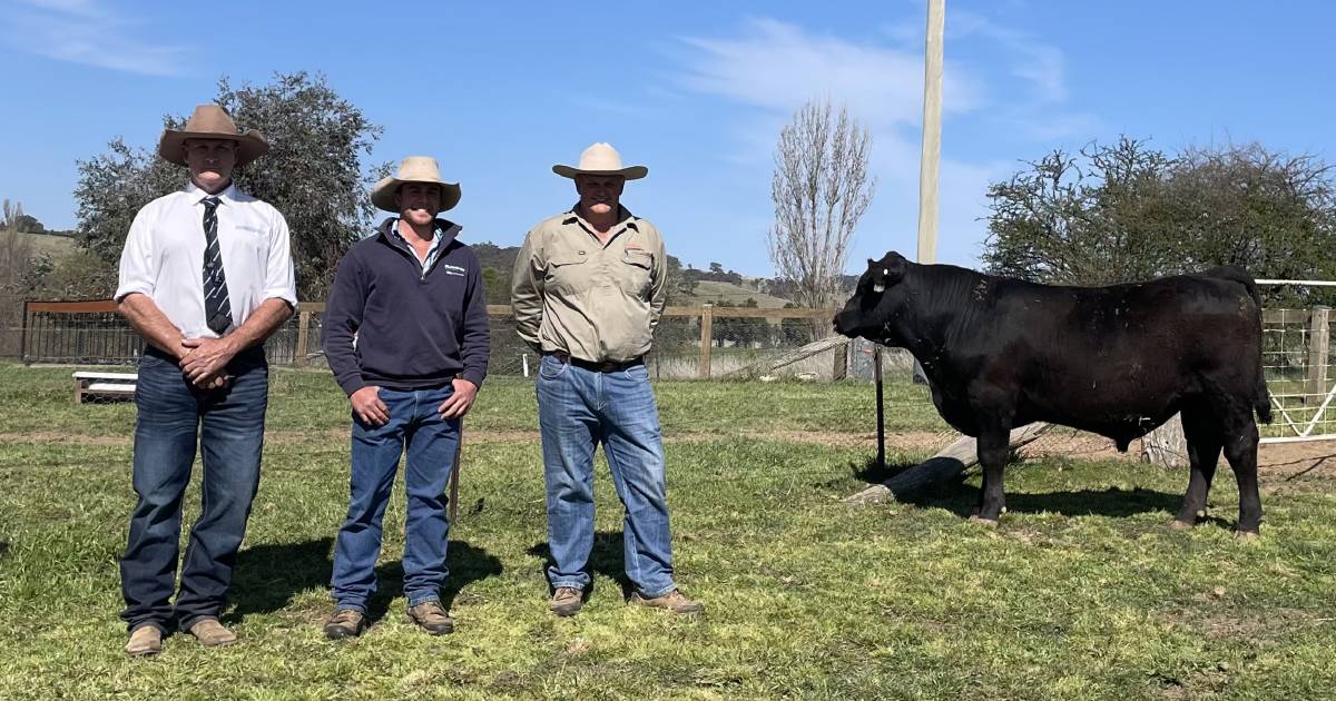 Dalwhinnie Angus sale topper heads to Orange based stud