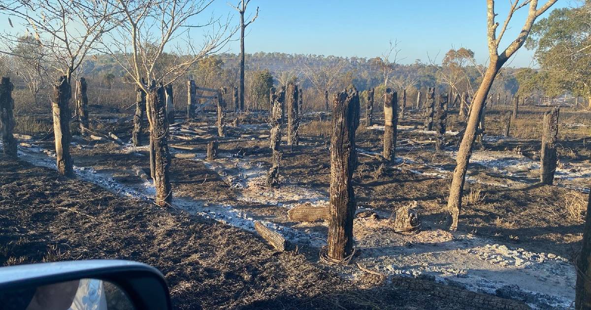 Belmont Research Station recovering after blaze wipes out pastures, yards, fences