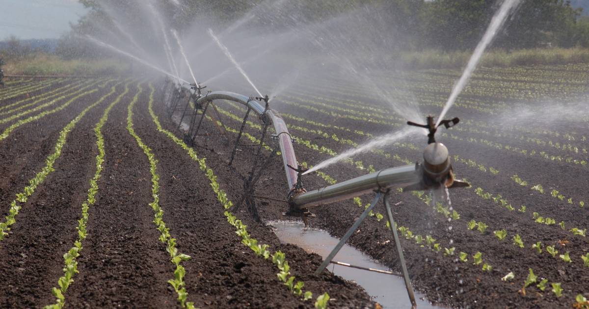 Irrigators cannot rely on business as usual according to modelling | Farm Weekly