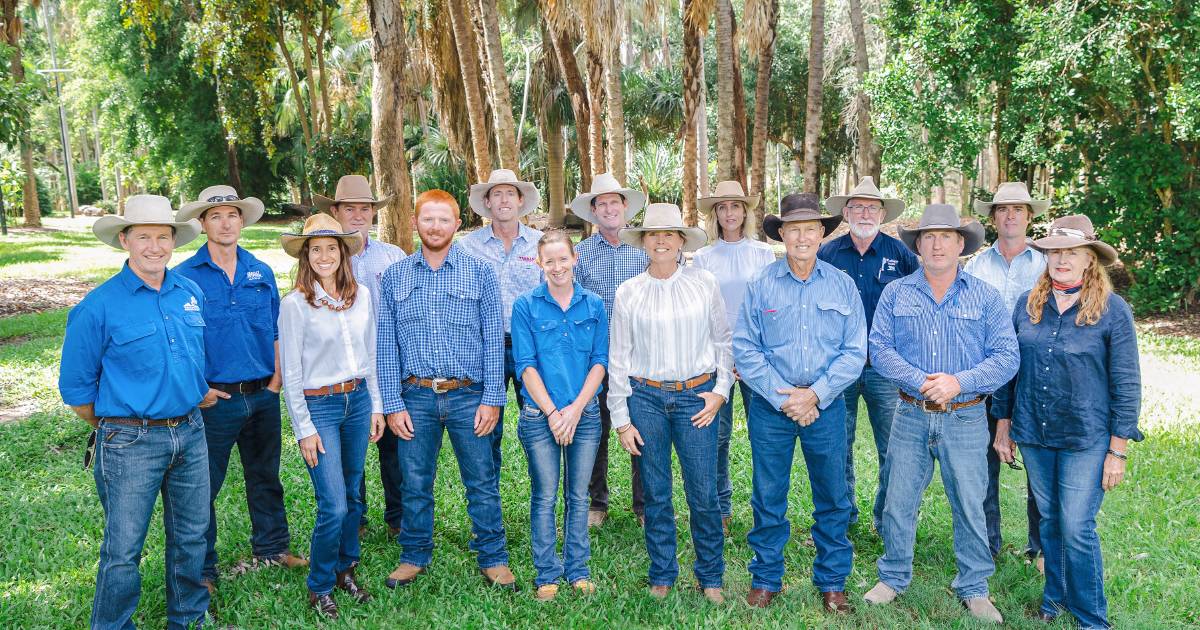 Twelve Queensland Brahman breeding businesses launch Frontier Genetics | North Queensland Register