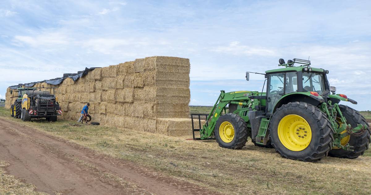 Southern states will keep the hay flowing as Qld graziers face drier conditions