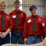 Dalby sale 6 Sep 2023: Yearling steers 10-15c lower