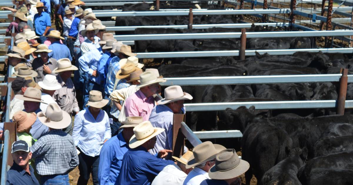 Graziers waiting for a spring break to get the market moving | Stock Talk