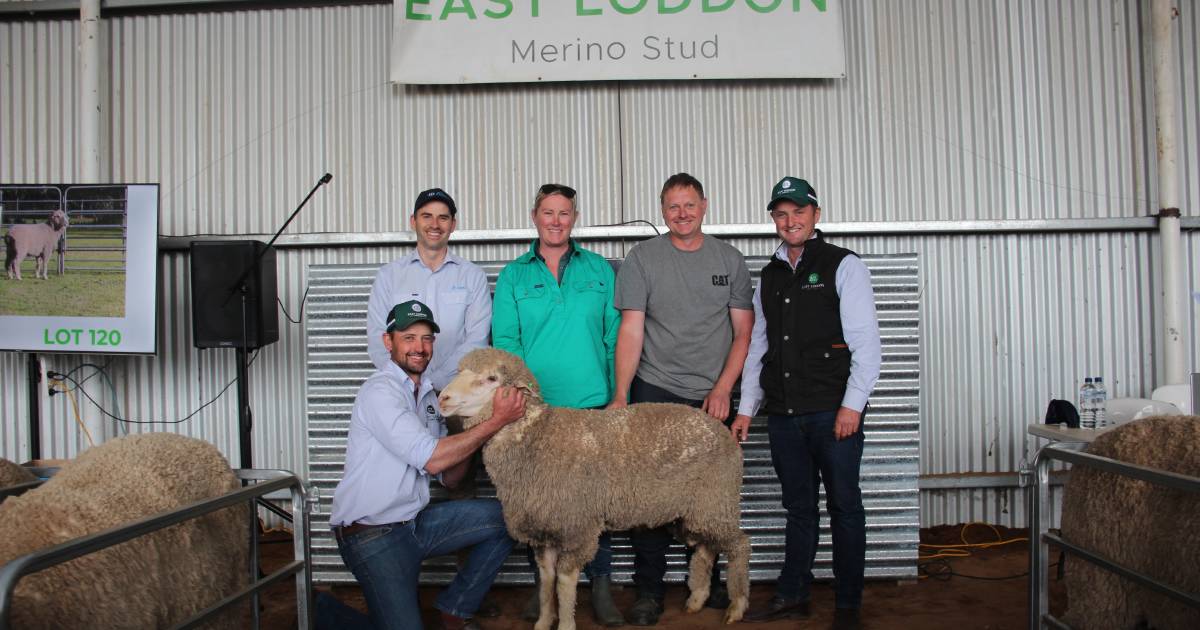 East Loddon's top ram off to Victoria