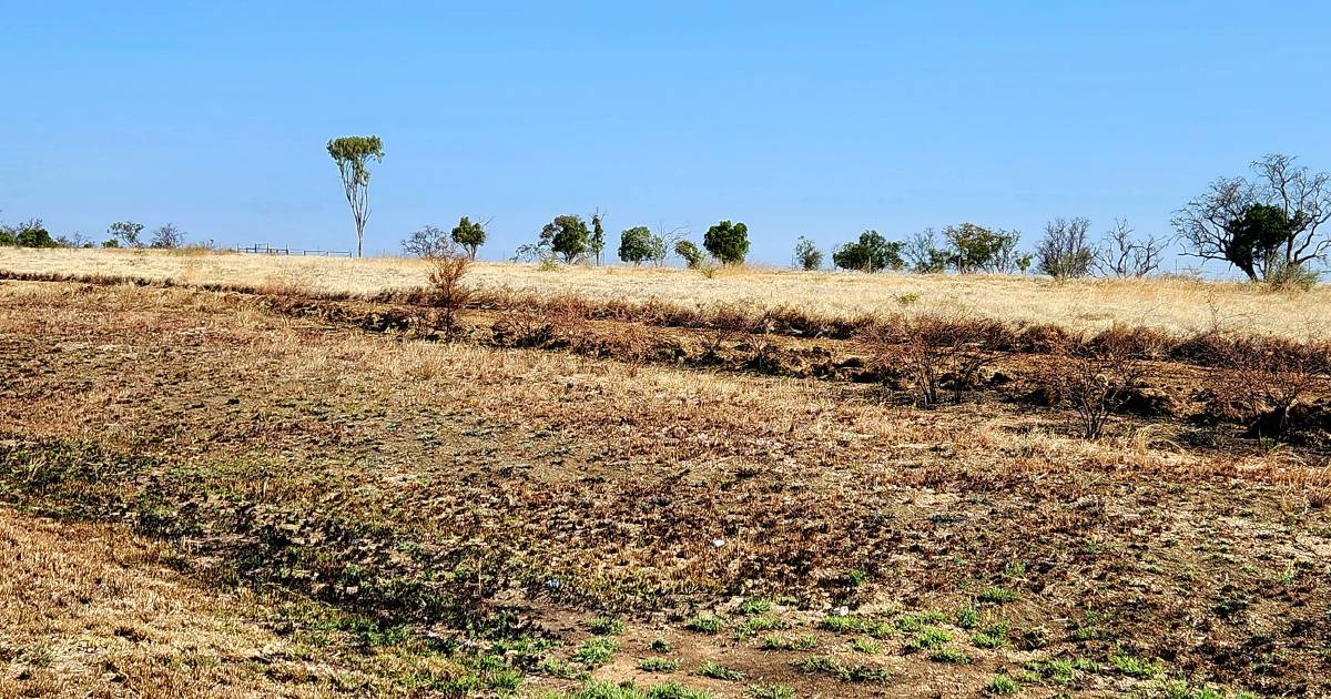 Red tape and rank roadside fuel loads have firies seeing red | Queensland Country Life