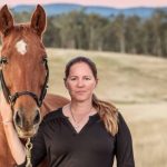 Powerlink deviates pumped hydro transmission line from Borumba to Woolooga