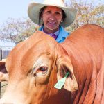 Yarrawonga bull sells for six figures