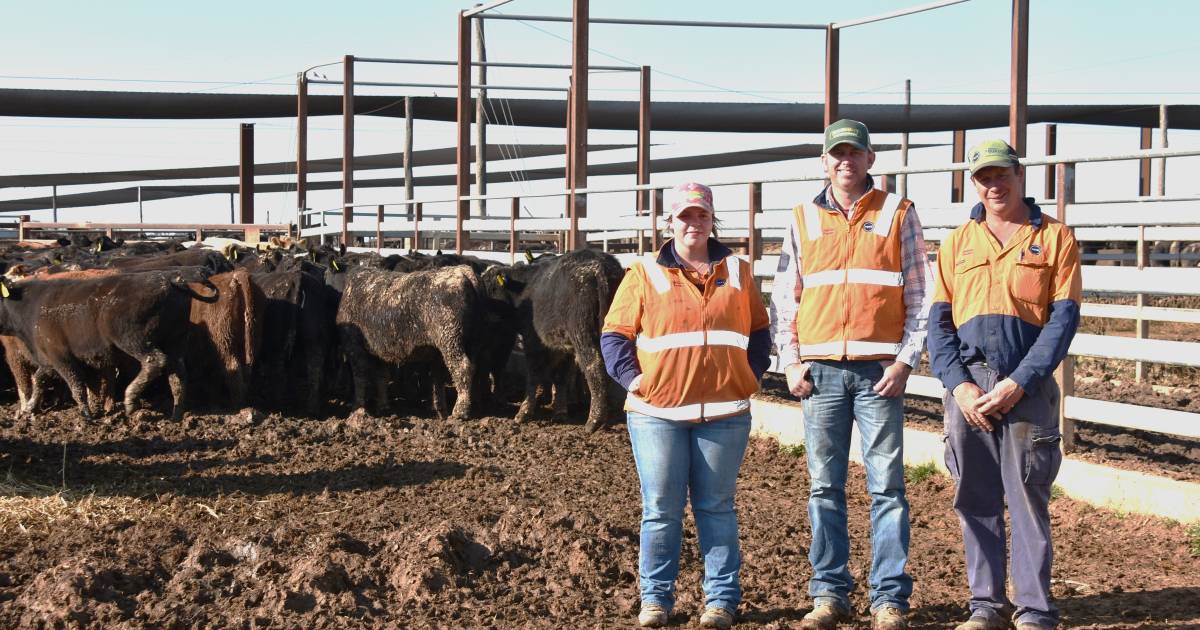 Strong numbers for Beef Spectacular Trial