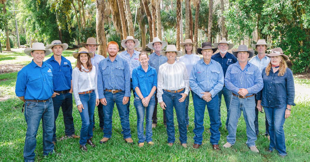 Twelve Queensland Brahman breeding businesses launch Frontier Genetics | Queensland Country Life