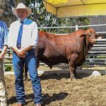 Scientists suggest changes to Australia’s soil carbon methodology