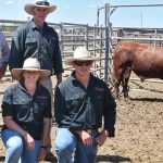 Wililoo ram sale draws both new and return clients. | Farm Weekly