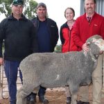 Repeat buyer takes home Cooinda Santas top priced bull