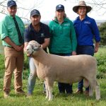 Grazing and grain property offered with a 400ha wheat crop