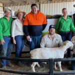 Dalby sale 13 Sep 2023: Most classes down in price