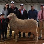 Six figure bull headlines Yarrawonga sale