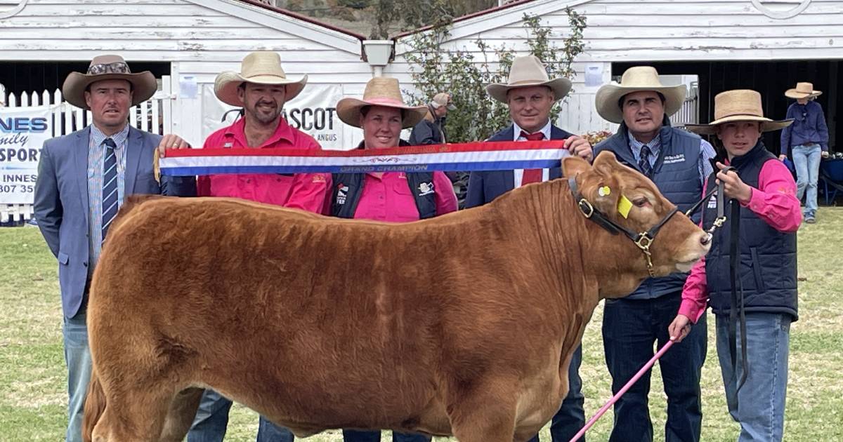 Coonamble High's champion could be the last hurrah