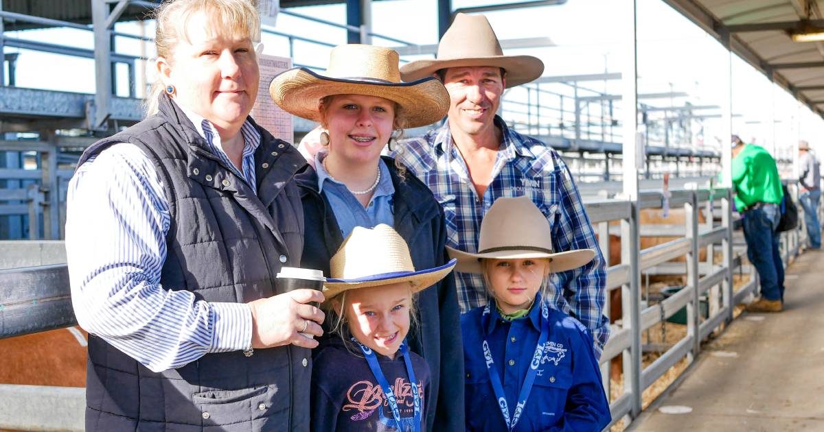 Around the ring day one of the National Droughtmaster Bull Sale