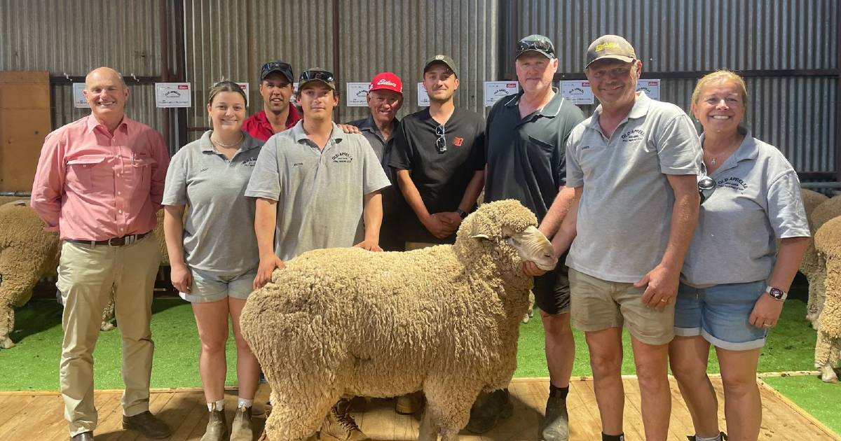 Old Aprelia sale reaches $3000 high at Southern Cross | Farm Weekly