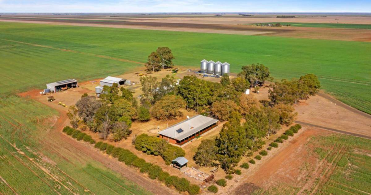 Blue Chip inner Darling Downs farming country hits the market