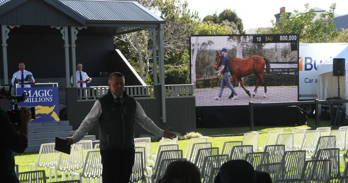 End of an era with Strawberry Hill Stud dispersal