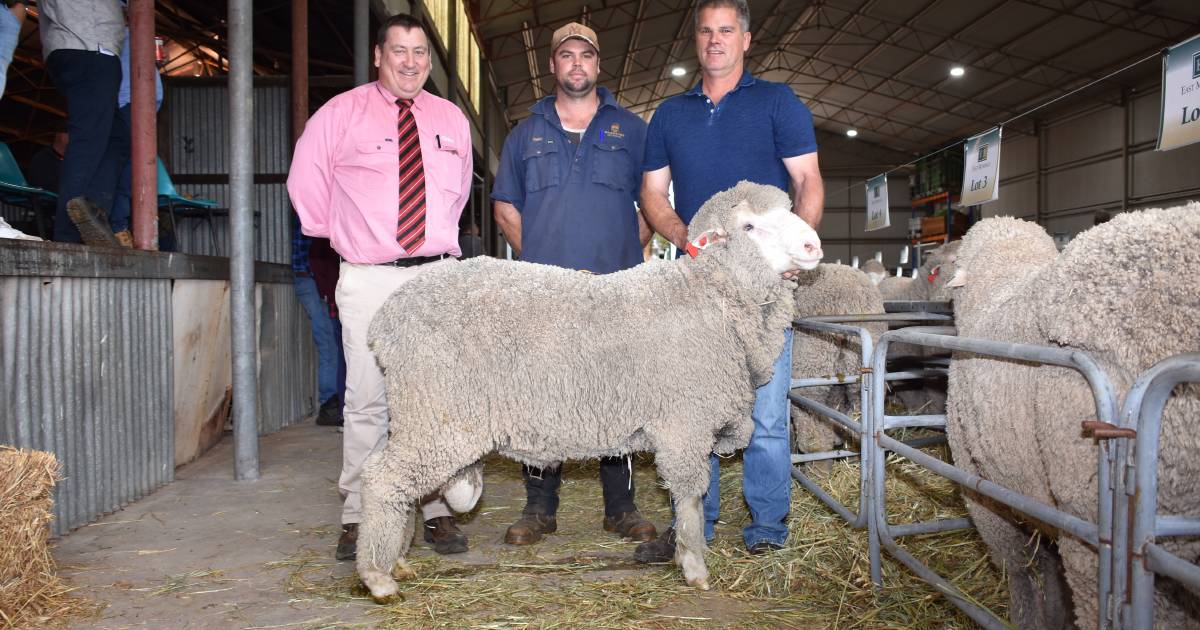 East Mundalla, Tarin Rock ram sale sees strong bidding | Farm Weekly