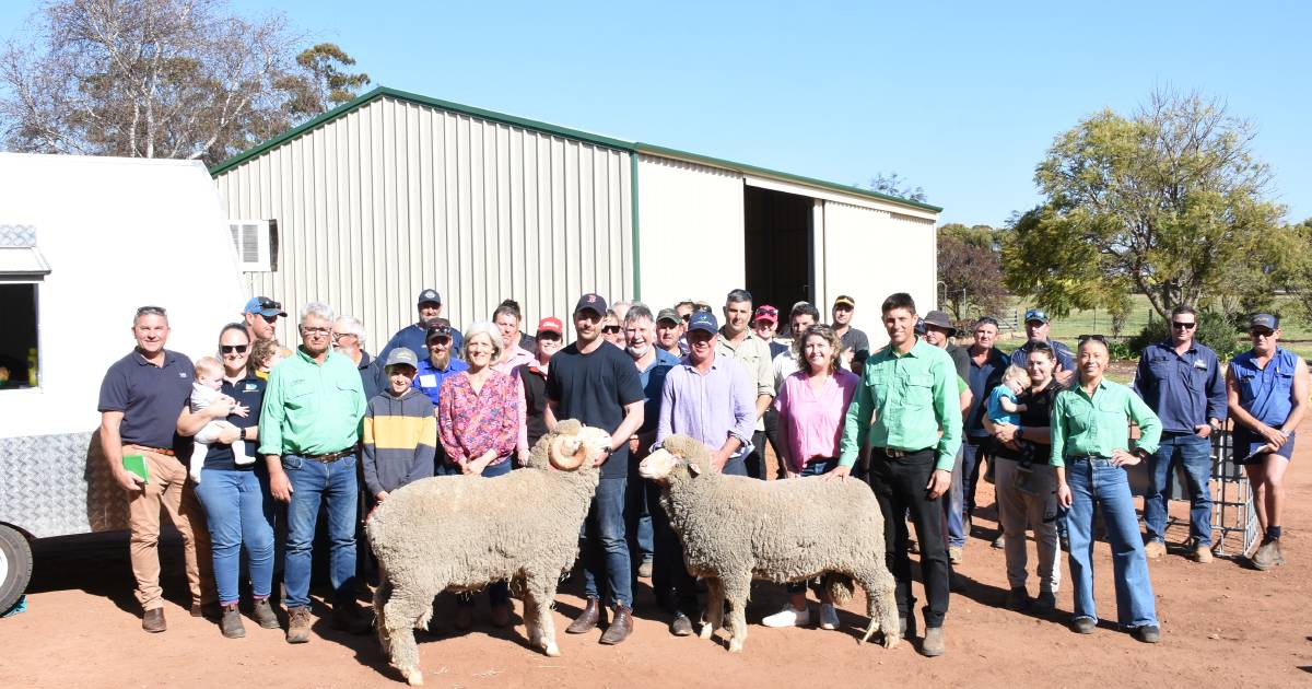 Mullan family’s Eastville Park and Quailerup West on-property ram sale at Wickepin | Farm Weekly