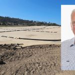 Rainfall at the right time sees harvest potential at Croppa Creek