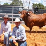 Challara Poll Merino sets $6000 record