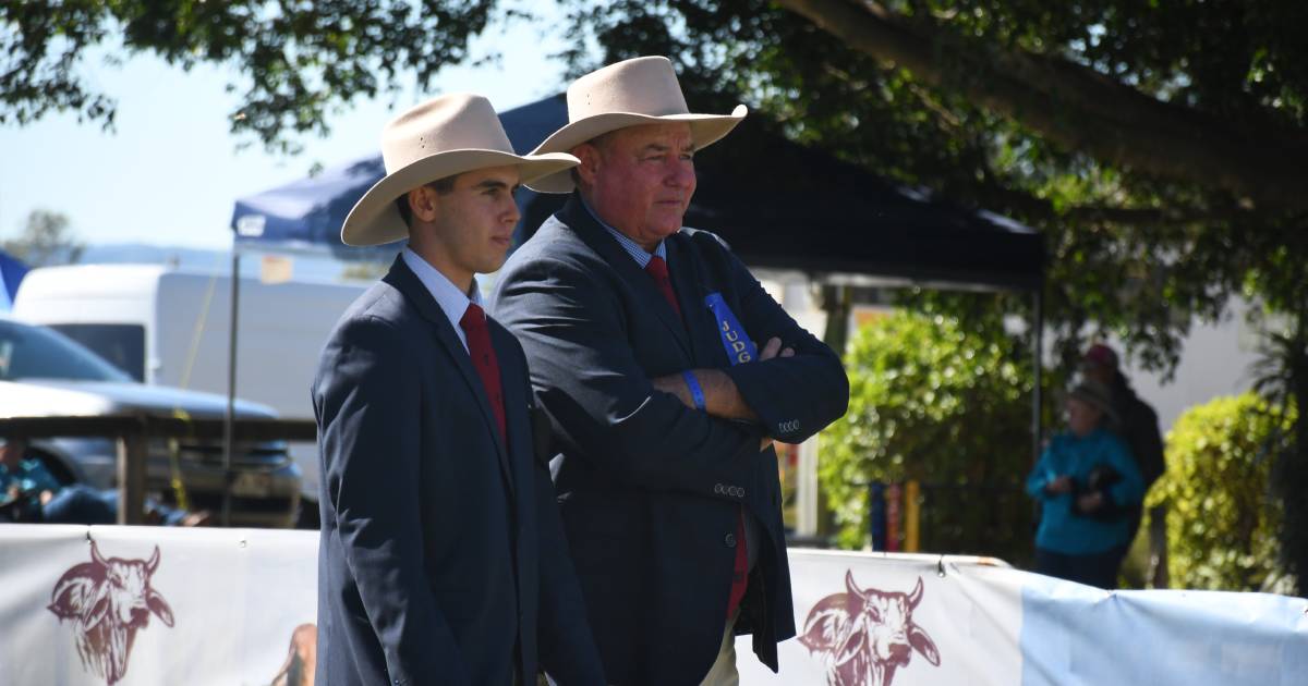 High yielding cattle producing results for Timbrel Cattle Co