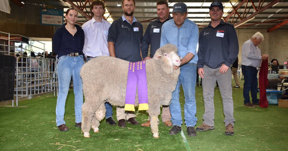 Belmont Park claims supreme Merino win at Perth Royal Show | Farm Weekly