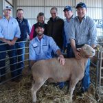 Hicks Beef clears 100 per cent