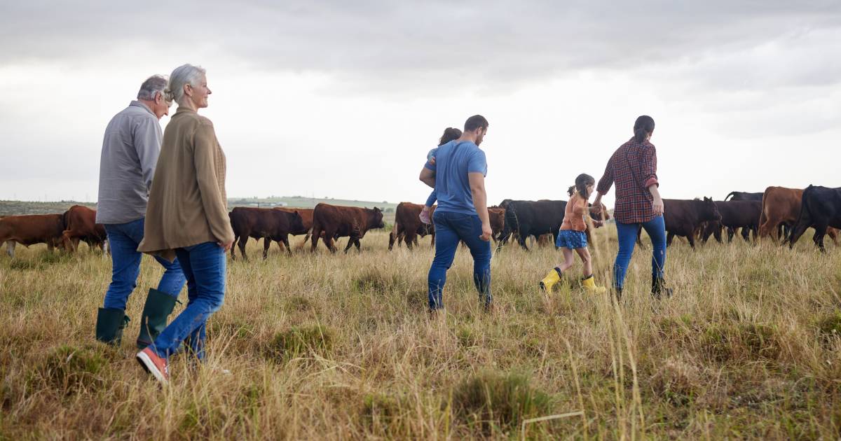 Uni courses set to streamline farm succession