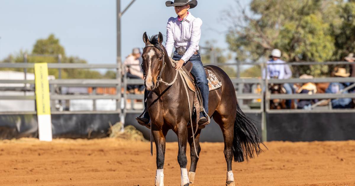 Ken May’s stallion, Axle, jags a first and second at Dalby Stockman’s Challenge & Campdraft | Queensland Country Life