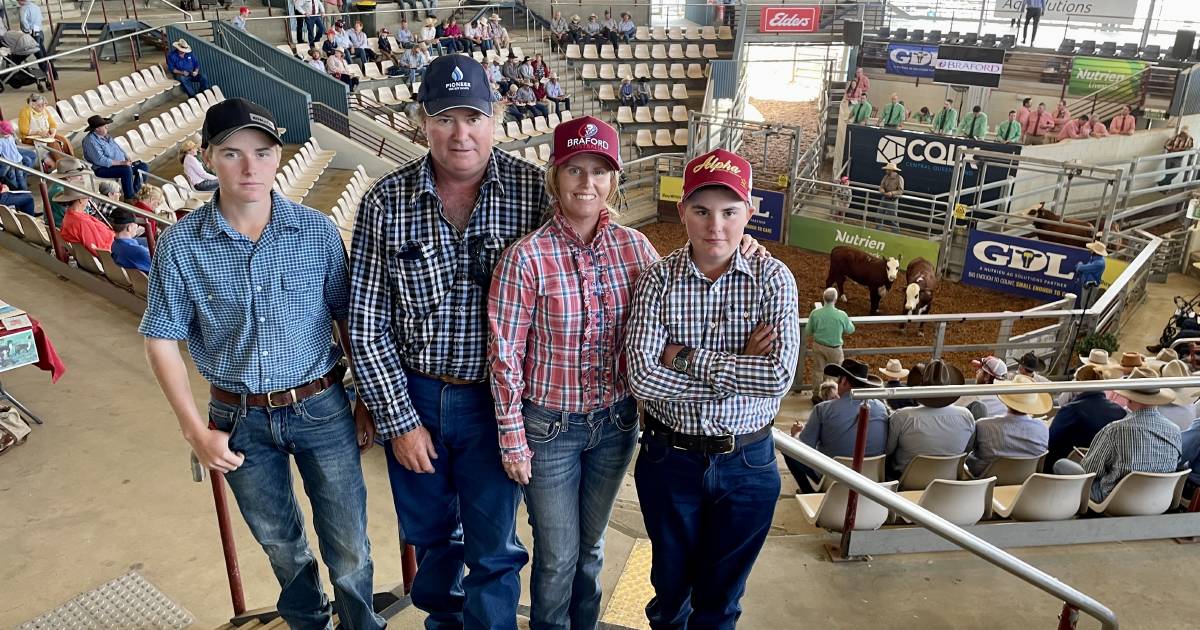 Natonal Braford Sale 2023 volume buyer, Eureka Station, buys 10 bulls | Queensland Country Life