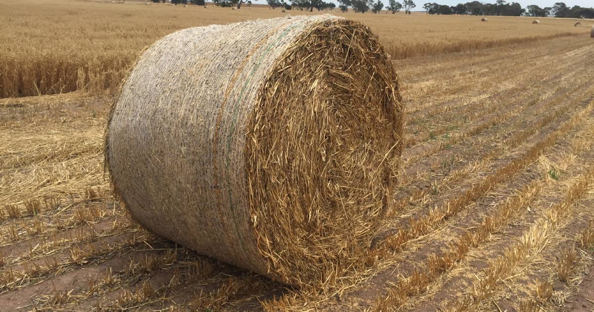 Hay prices creep up as consumers look to lock in supply | The Land