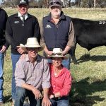 Rennylea Angus clears full line-up at 2023 sale