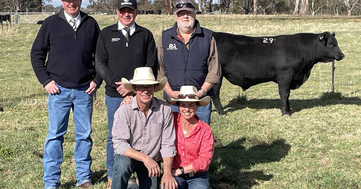 Top priced bull at Ben Nevis bound for South Australia