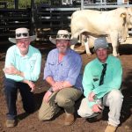 'I've never seen that before': paramedics help trapped calf get 'moo-ving'