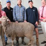 Telpara Hills' six figure Ultrablack bull breaks Australian-breed record