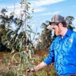 Assessing treatment system options on farm